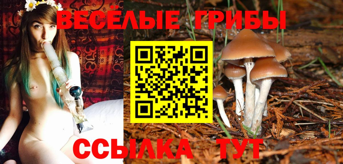 Галлюциногенные грибы ЛСД Выборг