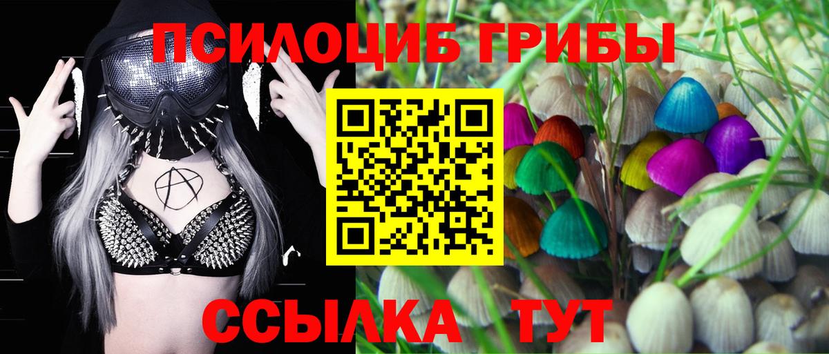 Выборг  Псилоцибиновые грибы GOLDEN TEACHER  Вход с VPN 